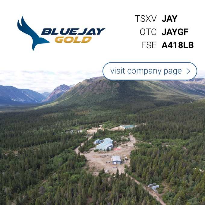 Blue Jay Gold