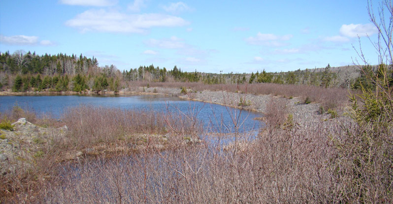 NSGold Corp. - Mooseland Gold District, Halifax County, Nova Scotia