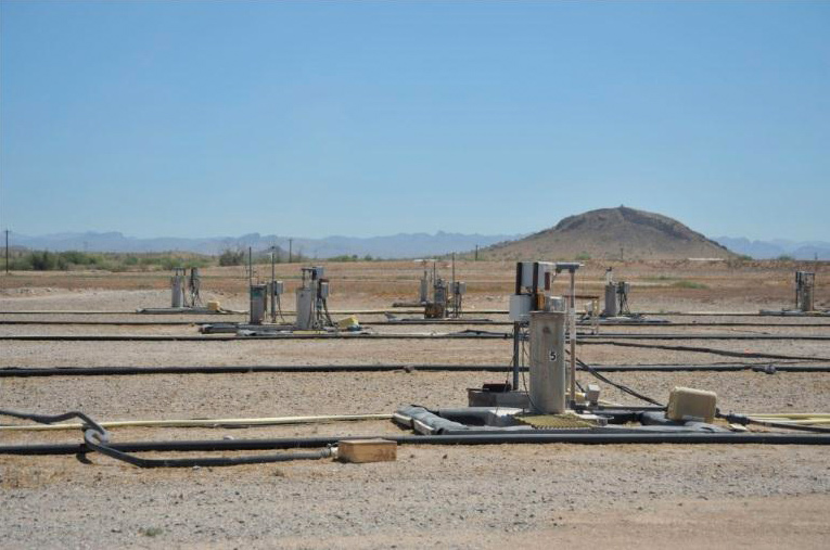 Photo of existing ISCR well field at Florence Site