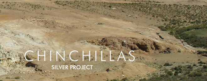 Chinchillas Silver Project