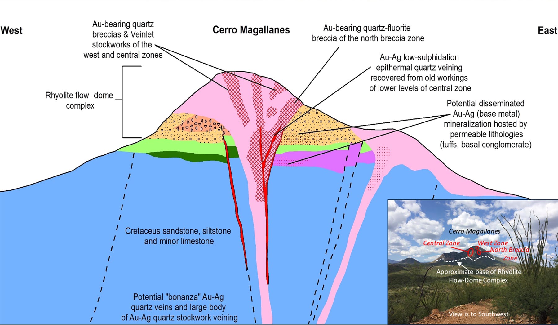 Cecilia: Cross-section