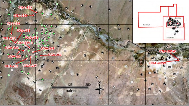 GRG Golden Arrow Resources Chinchillas