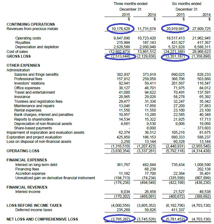 Metanor Resources Income Statement