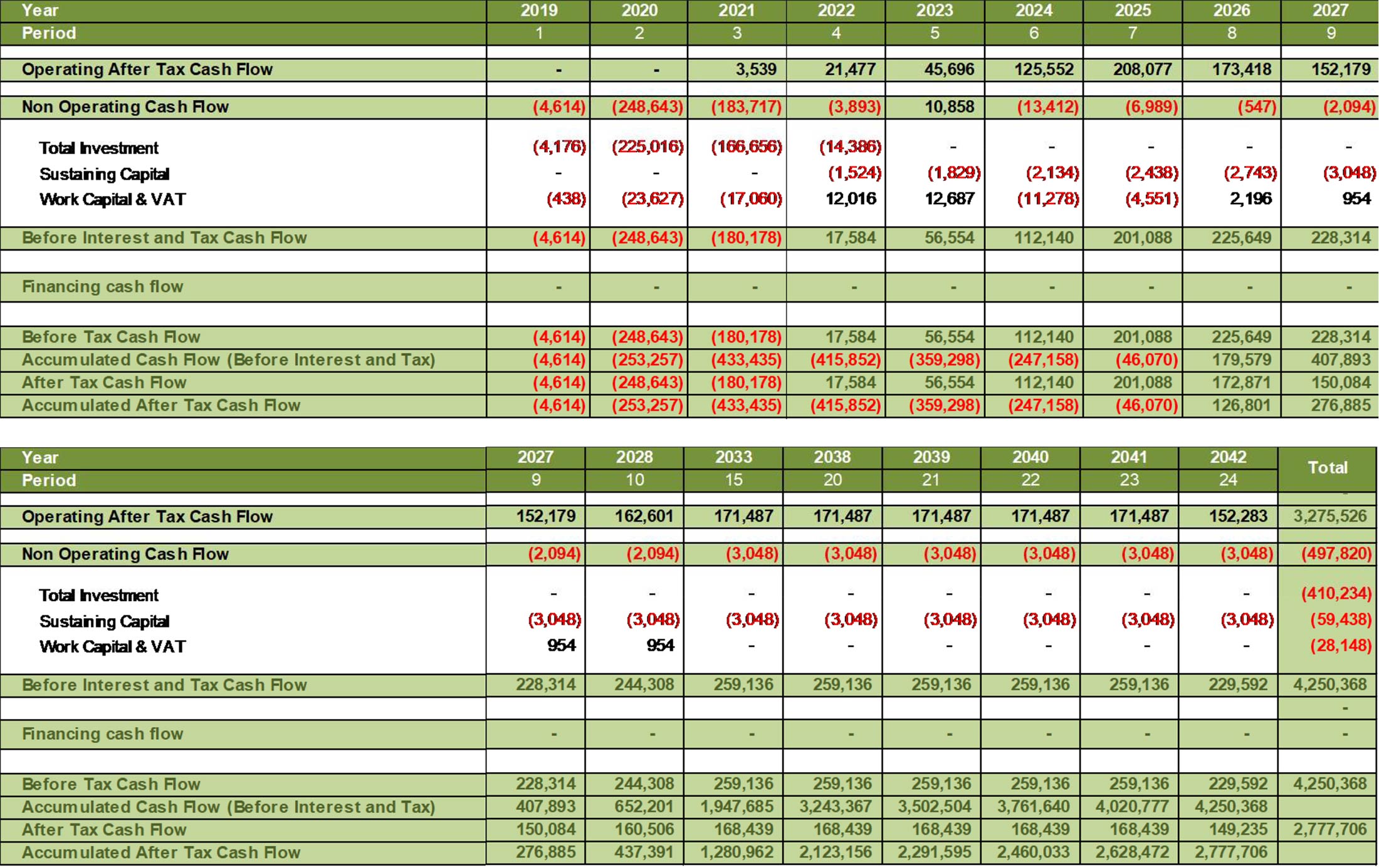 Project Summary Cash Flow Projection