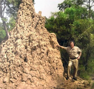 Termite Mound Sampling