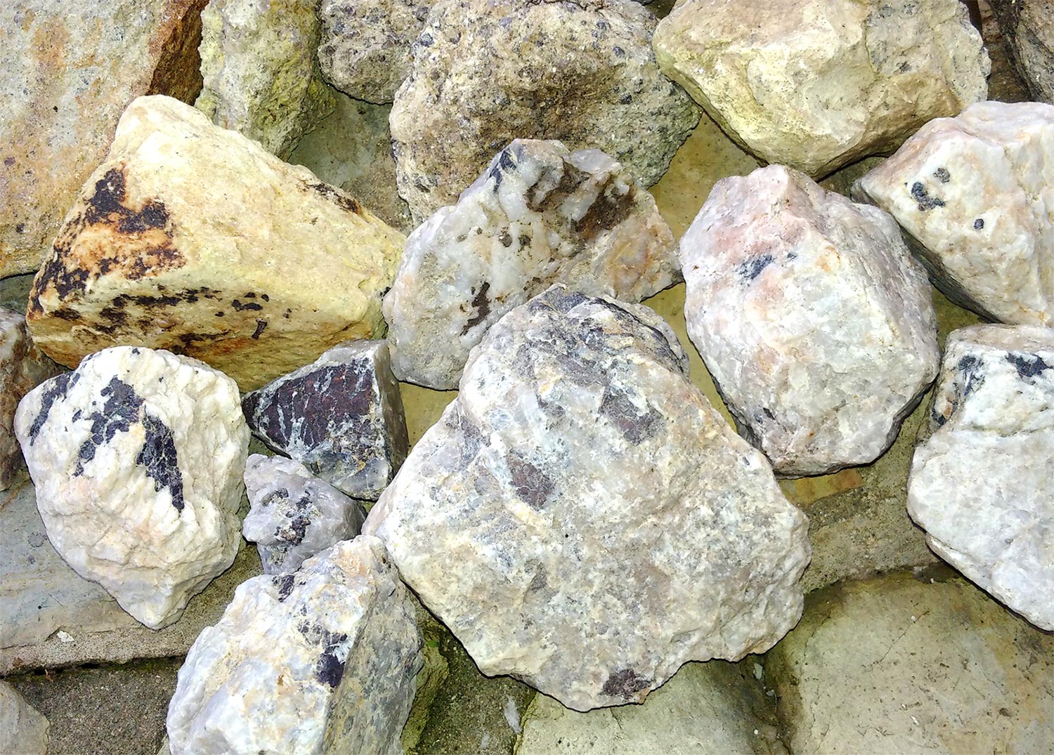 Bejanca rock samples