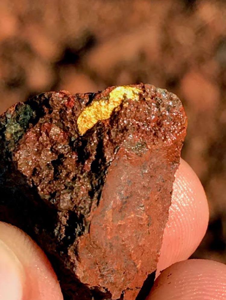 Gold nugget in a fossil transgressive lag gravel (Novo Resources image)