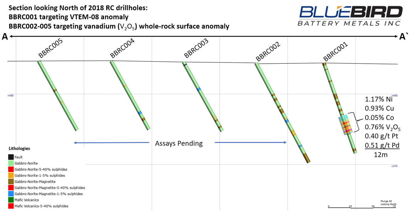 RC Drillhole Section